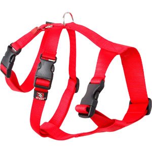 ARNES NYLON TRIPLE GALGO ROJO